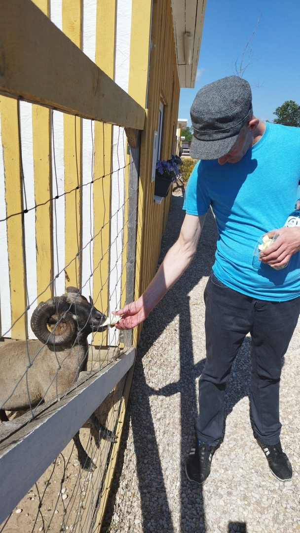 Izzinoša diena Kazdangas zoodārzā