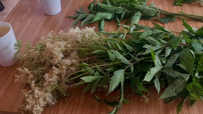 Tējas maģija – smaržu, garšu un stāstu ceļojums