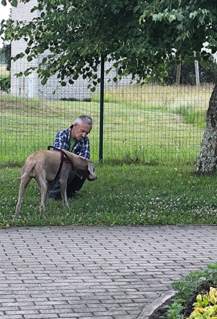 Kanisterapija – mīļums, kas dziedē