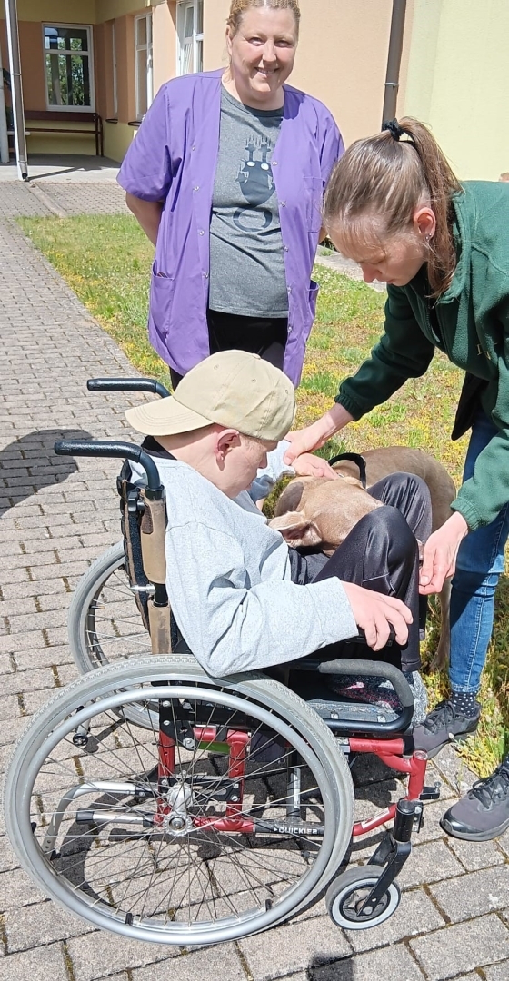 Kanisterapija – mīļums, kas dziedē