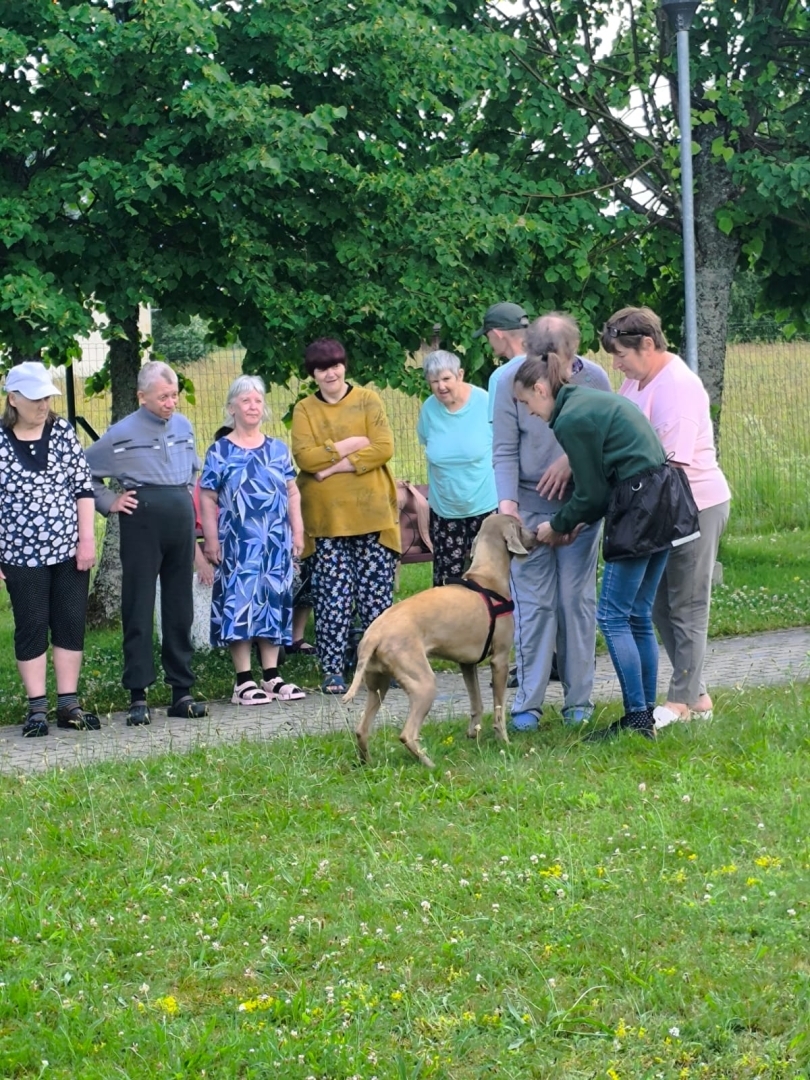 Kanisterapija – mīļums, kas dziedē