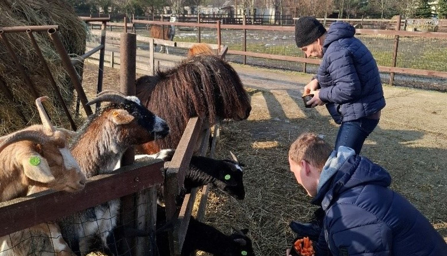 Ekskursija uz mini zoo Atomi