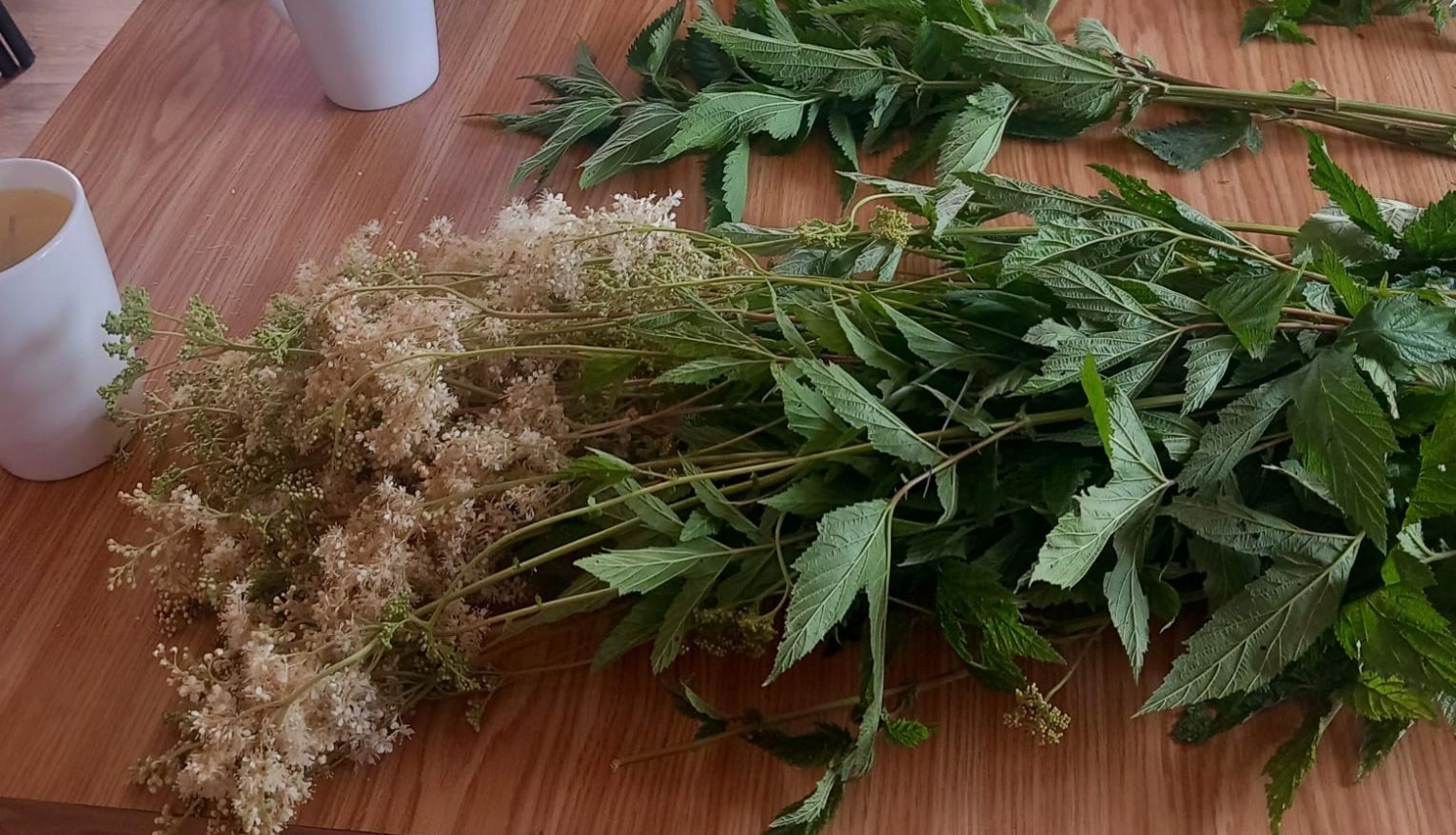 Tējas maģija – smaržu, garšu un stāstu ceļojums