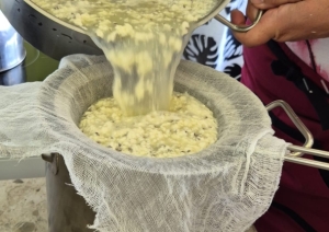 Siera siešanas tradīcijas Līgo noskaņās