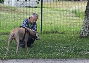 Kanisterapija – mīļums, kas dziedē
