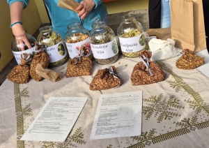 Miķeļdiena “Gudeniekos” – rudens ražas svētki
