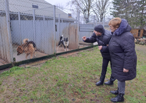 Devāmies sasildīt ķepaiņu sirsniņas