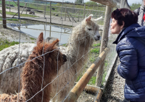 Izbrauciens uz Kazdangas ‘’Zoo and Holidays’’