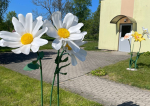Ziedu skaistums ir kaut kas vairāk nekā acīmredzamais