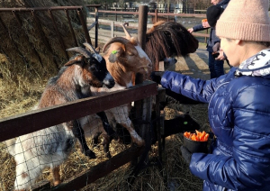 Ekskursija uz mini zoo Atomi