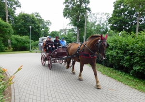 Ielīgošanas jampadracis “Iļģos”