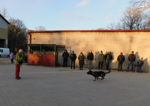 Suņu paraugdemonstrējumi filiālē "Iļģi" 01