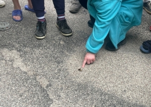 Abavas senlejas dabas noslēpumu meklējumos