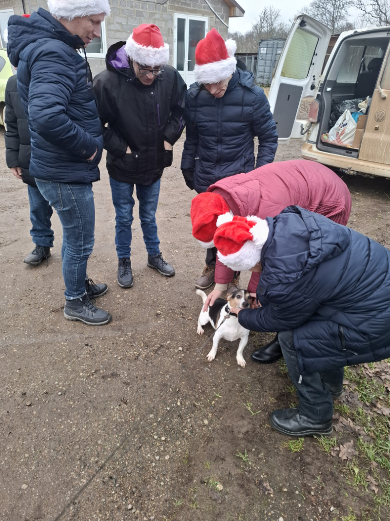 Iejutāmies rūķu lomā