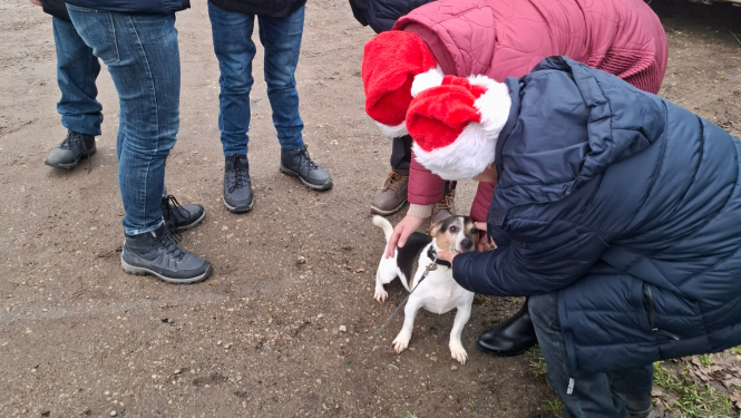 Iejutāmies rūķu lomā