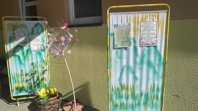 Ziedu skaistums ir kaut kas vairāk nekā acīmredzamais