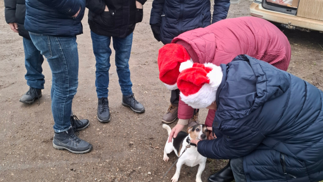 Iejutāmies rūķu lomā