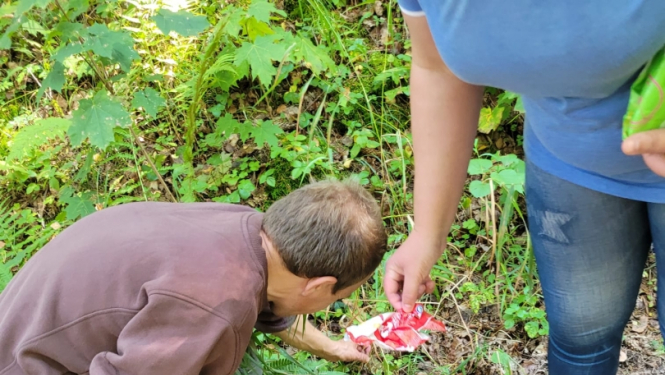 Sakopjam Aizvīķu parka teritoriju