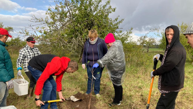 Ābeļu stādīšanas pasākums
