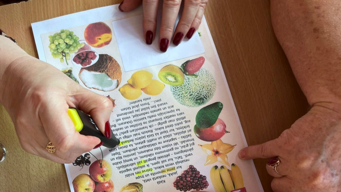 Ko Tu zini par vasaru