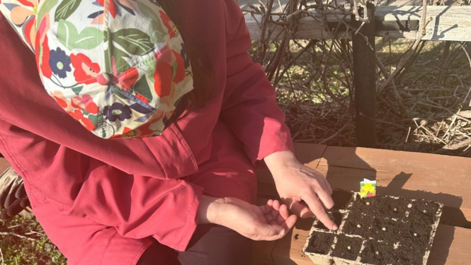 Sējas laiks “Dundagā” – pirmie soļi puķu audzēšanā un zināšanu apguvē