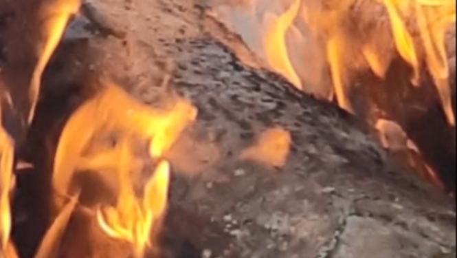 Barikādēm veltīts atceres pasākums