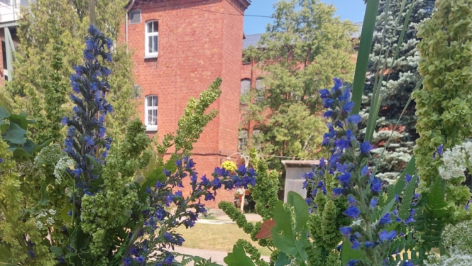 Šajos svētkos neiztikt bez dejām, siera un ziedu vainagiem!  