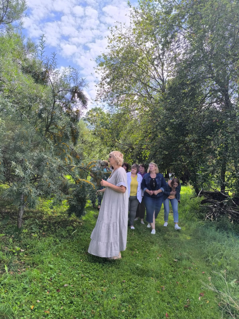 Kolektīva saliedēšanās pasākums