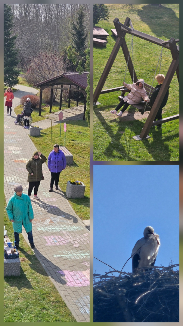 Mākslas plenērs “Dundagā” – radošums, sadarbība un pasakas “Trīs sivēntiņi” krāsās