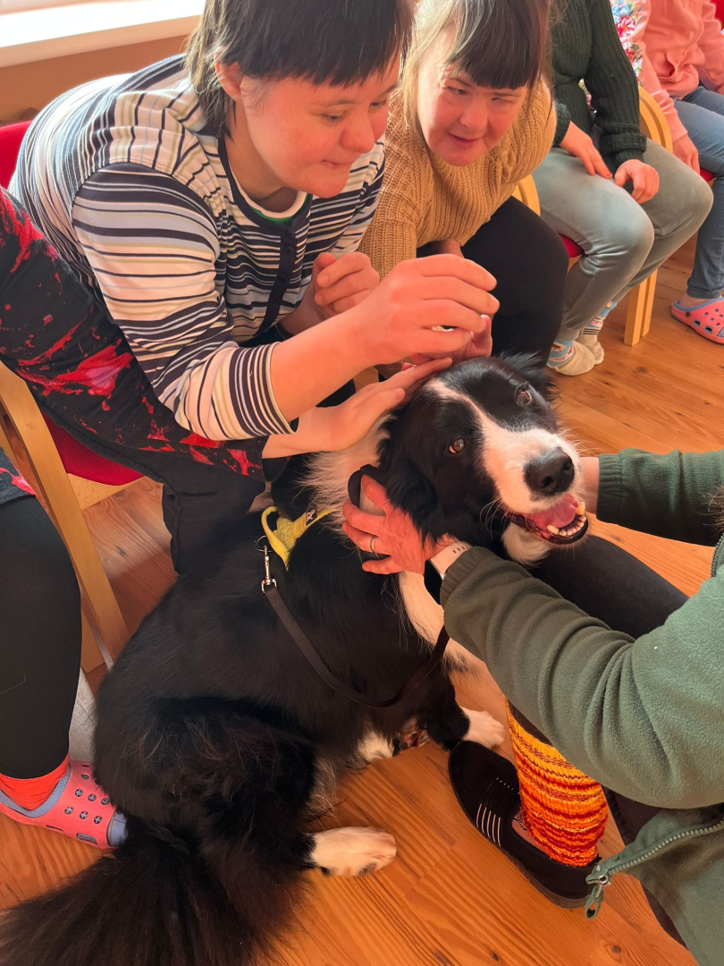 Četrkājainais prieka vēstnesis – kanisterapijas suns Basso viesojas filiālē “Veģi”