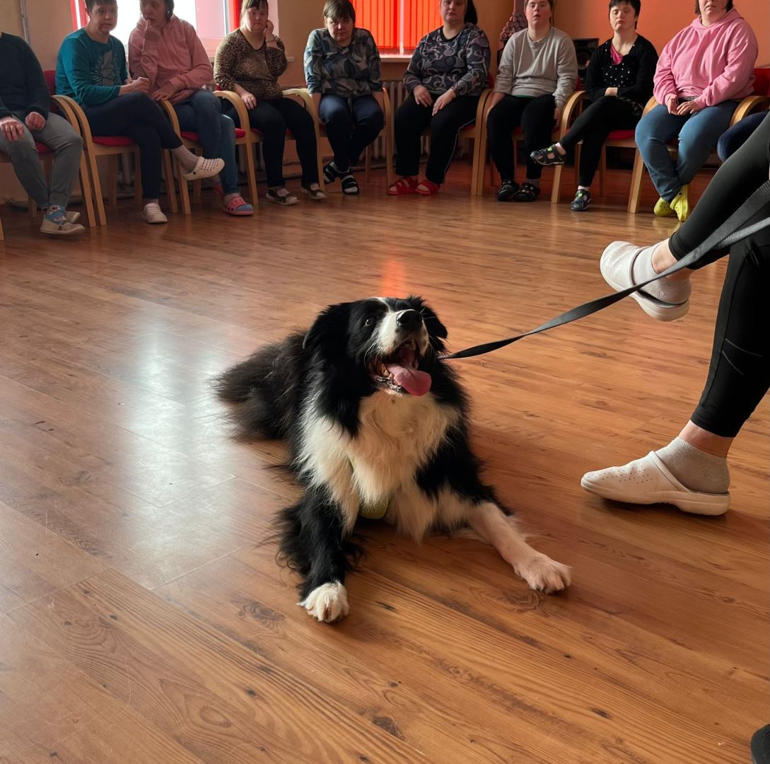 Četrkājainais prieka vēstnesis – kanisterapijas suns Basso viesojas filiālē “Veģi”