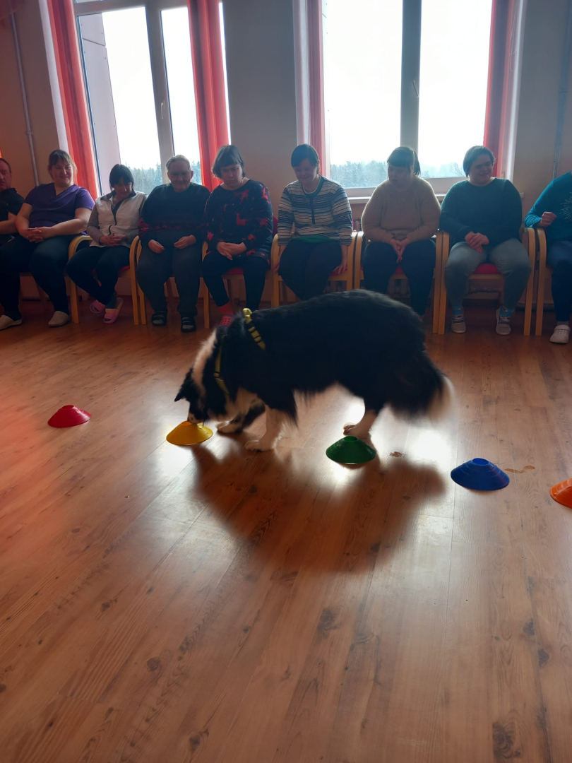 Četrkājainais prieka vēstnesis – kanisterapijas suns Basso viesojas filiālē “Veģi”