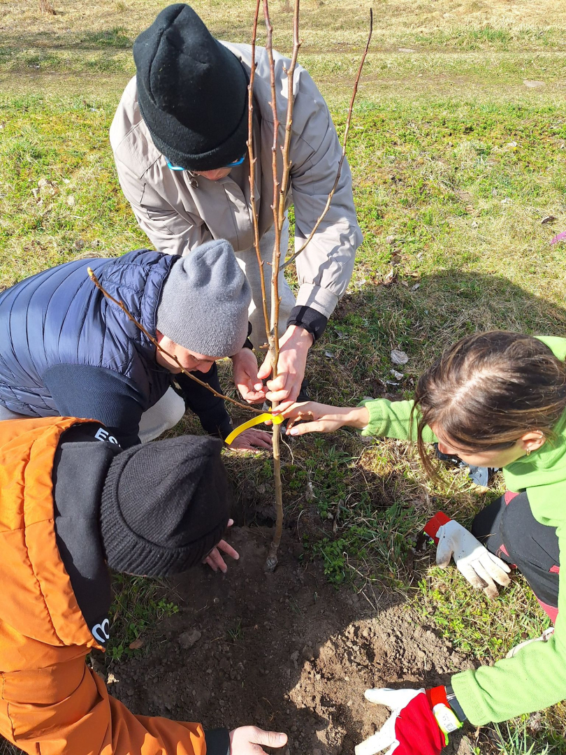 “Apstādīsim Latviju ar augļu kokiem” Veģos – kopā stādīts nākotnes prieks