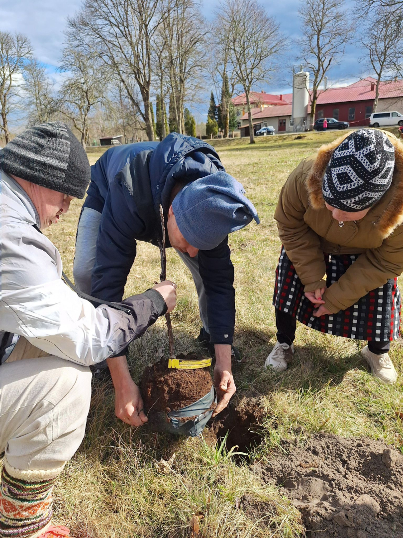 “Apstādīsim Latviju ar augļu kokiem” Veģos – kopā stādīts nākotnes prieks
