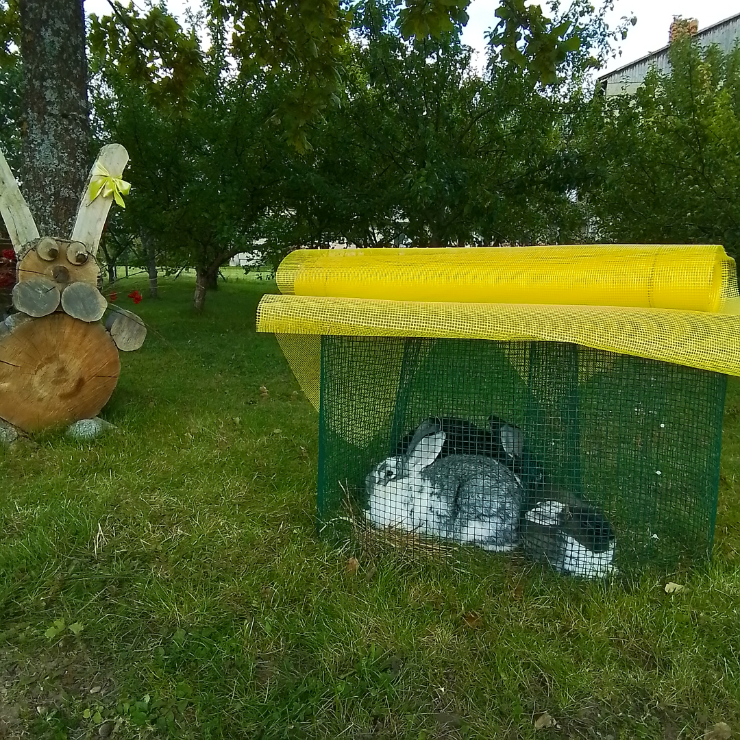 Gada auglīgā laika aizvadīšanas svētki – Miķeļi