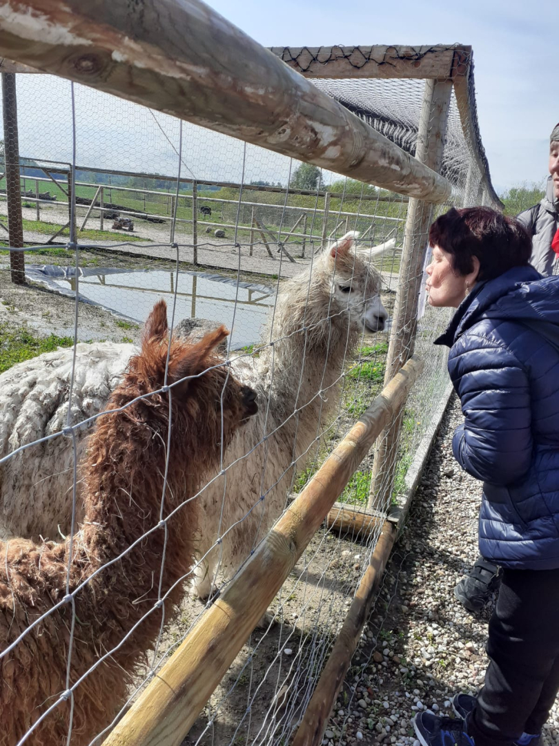Izbrauciens uz Kazdangas ‘’Zoo and Holidays’’