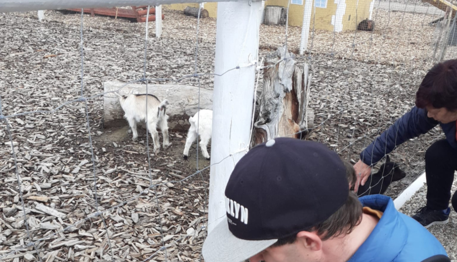 Izbrauciens uz Kazdangas ‘’Zoo and Holidays’’