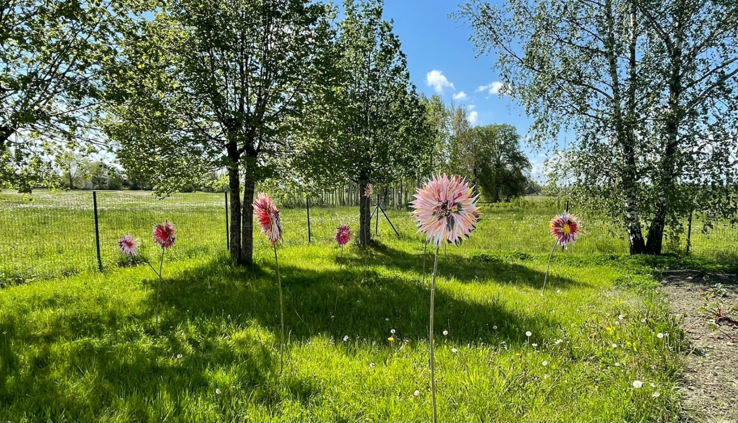 Ziedu skaistums ir kaut kas vairāk nekā acīmredzamais