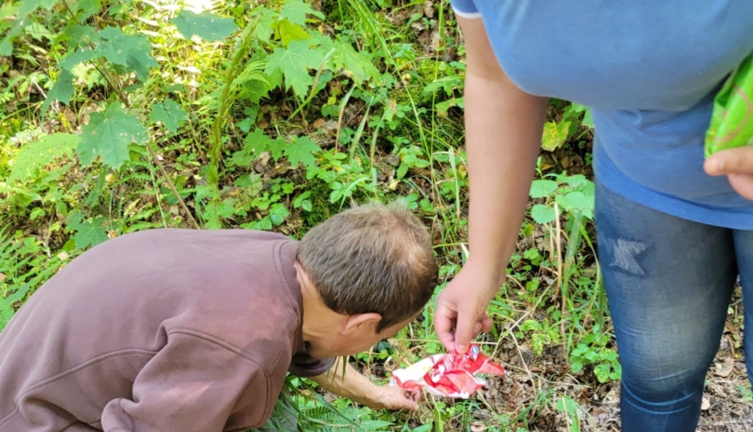 Sakopjam Aizvīķu parka teritoriju