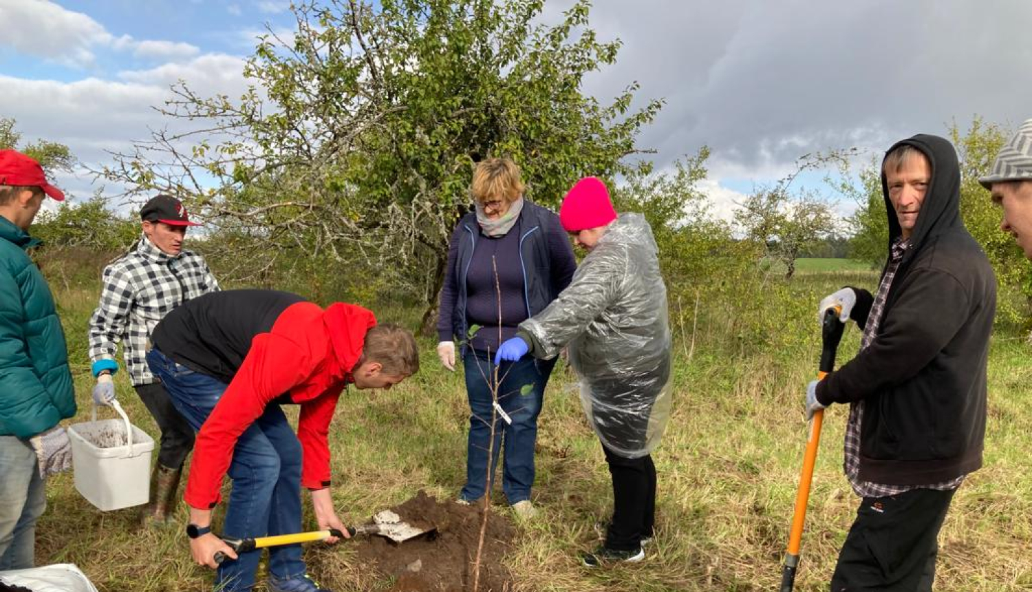 Ābeļu stādīšanas pasākums