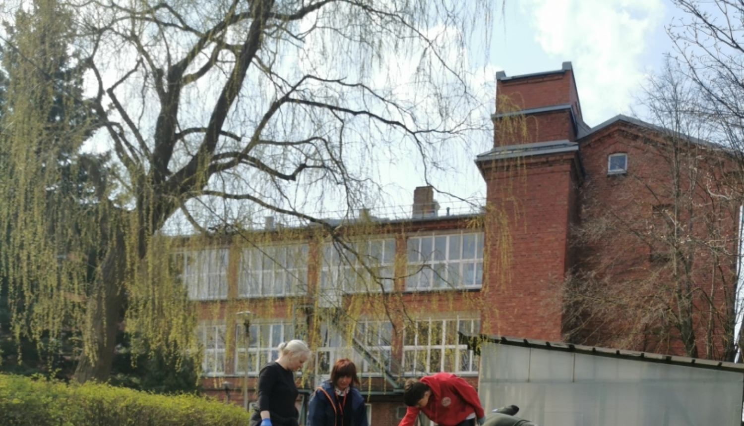 Skaistās puķu dobes 2