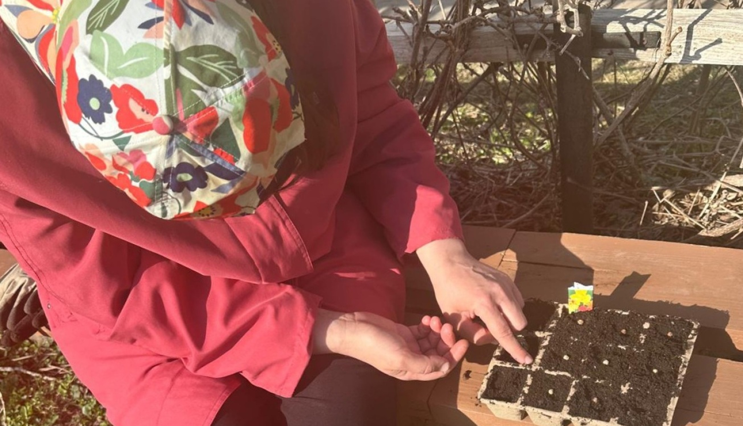 Sējas laiks “Dundagā” – pirmie soļi puķu audzēšanā un zināšanu apguvē