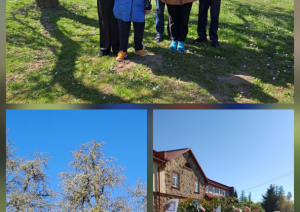 Azartiska foto orientēšanās “Dundagā” – meklējumi, uzdevumi un smiekli komandā